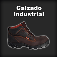 Calzado